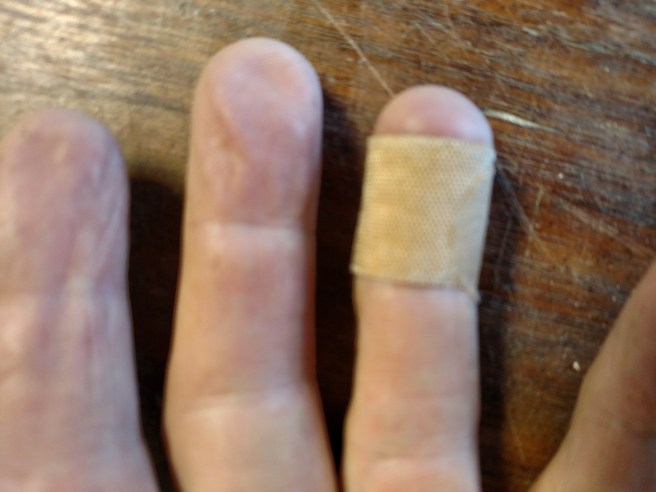 Had to bleed a little for this project